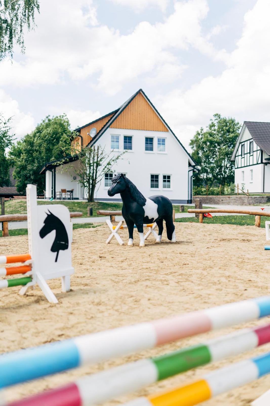 シュマレンベルク Hof Koehne - Haus Im Glueck Rechtsヴィラ エクステリア 写真